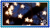 glowing stars